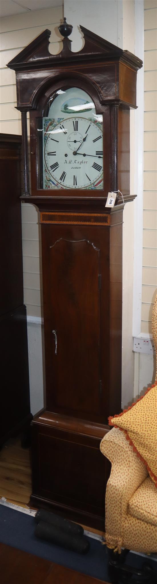 A mid-19th century mahogany longcase clock, A E Taylor, Dublin H.236cm